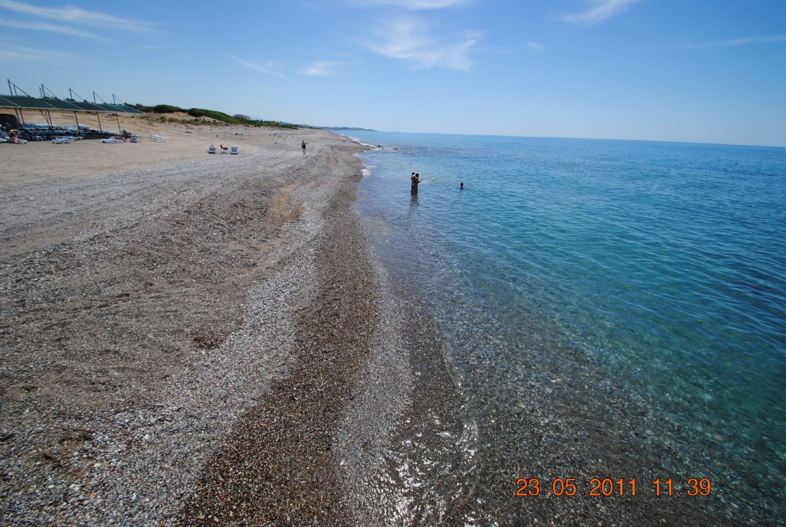 imagini hotel AMELIA BEACH RESORT SIDE